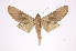  ( - INB0004174914)  @13 [ ] Copyright (2012) I. Chacon Instituto Nacional de Biodiversidad
