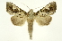  ( - INB0004175511)  @13 [ ] Copyright (2012) Juan Mata Lorenzen Unspecified