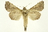  ( - INB0004175511)  @13 [ ] Copyright (2012) Juan Mata Lorenzen Unspecified