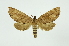  ( - INB0004175521)  @14 [ ] Copyright (2012) Juan Mata Lorenzen INBio
