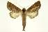  ( - INB0004175527)  @13 [ ] Copyright (2012) Juan Mata Lorenzen Unspecified