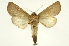  ( - INB0004175527)  @14 [ ] Copyright (2012) Juan Mata Lorenzen Unspecified