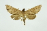  ( - INB0004175611)  @13 [ ] Copyright (2012) Juan Mata Lorenzen INBio