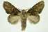  ( - INB0004178259)  @14 [ ] Copyright (2012) Juan Mata Lorenzen Unspecified