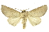  ( - INB0004178354)  @14 [ ] Copyright (2012) Juan Mata Lorenzen INBio
