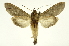  ( - INB0004178393)  @14 [ ] Copyright (2012) Juan Mata Lorenzen Unspecified