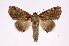  ( - INB0004178412)  @13 [ ] Copyright (2012) I. Chacon Instituto Nacional de Biodiversidad