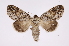  ( - INB0004178709)  @14 [ ] Copyright (2012) I. Chacon Instituto Nacional de Biodiversidad