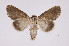  ( - INB0004178709)  @14 [ ] Copyright (2012) I. Chacon Instituto Nacional de Biodiversidad