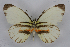  ( - INB0004179114)  @14 [ ] CreativeCommons - Attribution Non-Commercial Share-Alike (2012) National Biodiversity Institute of Costa Rica National Biodiversity Institute of Costa Rica