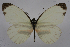  ( - INB0004179114)  @14 [ ] CreativeCommons - Attribution Non-Commercial Share-Alike (2012) National Biodiversity Institute of Costa Rica National Biodiversity Institute of Costa Rica