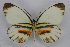  ( - INB0004179133)  @13 [ ] CreativeCommons - Attribution Non-Commercial Share-Alike (2012) National Biodiversity Institute of Costa Rica National Biodiversity Institute of Costa Rica