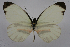  ( - INB0004179133)  @14 [ ] CreativeCommons - Attribution Non-Commercial Share-Alike (2012) National Biodiversity Institute of Costa Rica National Biodiversity Institute of Costa Rica