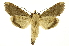  ( - INB0004182584)  @13 [ ] Copyright (2012) Juan Mata Lorenzen Unspecified