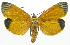  ( - INB0004182653)  @15 [ ] CreativeCommons - Attribution Non-Commercial Share-Alike  National Biodiversity Institute of Costa Rica National Biodiversity Institute of Costa Rica