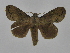  ( - INB0004182732)  @13 [ ] Copyright (2012) J. Montero Instituto Nacional de Biodiversidad