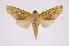  ( - INB0004183231)  @13 [ ] Copyright (2012) I. Chacon Instituto Nacional de Biodiversidad