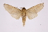  ( - INB0004183231)  @13 [ ] Copyright (2012) I. Chacon Instituto Nacional de Biodiversidad