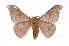  ( - INB0004183284)  @15 [ ] Copyright (2012) I. Chacon Instituto Nacional de Biodiversidad