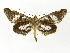  ( - INB0004183320)  @14 [ ] Copyright (2012) J. Montero Instituto Nacional de Biodiversidad