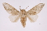 ( - INB0004183408)  @14 [ ] Copyright (2012) I. Chacon Instituto Nacional de Biodiversidad