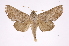  ( - INB0004183448)  @14 [ ] Copyright (2012) I. Chacon Instituto Nacional de Biodiversidad