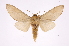  ( - INB0004183450)  @13 [ ] Copyright (2012) I. Chacon Instituto Nacional de Biodiversidad