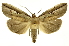  ( - INB0004184663)  @14 [ ] Copyright (2012) Juan Mata Lorenzen Unspecified