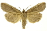  ( - INB0004184663)  @13 [ ] Copyright (2012) Juan Mata Lorenzen Unspecified