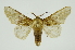  ( - INB0004184786)  @14 [ ] Copyright (2012) Juan Mata Lorenzen Unspecified