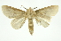  ( - INB0004187925)  @12 [ ] Copyright (2012) Juan Mata Lorenzen Unspecified