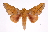  ( - INB0004187928)  @14 [ ] Copyright (2012) I. Chacon Instituto Nacional de Biodiversidad