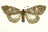  ( - INB0004187931)  @13 [ ] Copyright (2012) Juan Mata Lorenzen Unspecified