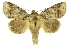  ( - INB0004188150)  @14 [ ] Copyright (2012) Juan Mata Lorenzen Unspecified