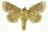  ( - INB0004188150)  @14 [ ] Copyright (2012) Juan Mata Lorenzen Unspecified