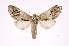  ( - INB0004188321)  @14 [ ] Copyright (2012) I. Chacon Instituto Nacional de Biodiversidad