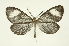  ( - INB0004188913)  @12 [ ] Copyright (2012) Juan Mata Lorenzen Unspecified