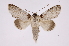  ( - INB0004189493)  @14 [ ] Copyright (2012) I. Chacon Instituto Nacional de Biodiversidad