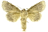  ( - INB0004189496)  @11 [ ] Copyright (2012) Juan Mata Lorenzen Unspecified