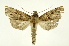  ( - INB0004189497)  @14 [ ] Copyright (2012) Juan Mata Lorenzen Unspecified
