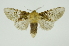  ( - INB0004189596)  @14 [ ] Copyright (2012) Juan Mata Lorenzen Unspecified
