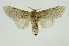  ( - INB0004189596)  @14 [ ] Copyright (2012) Juan Mata Lorenzen Unspecified