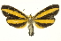  ( - INB0004189718)  @14 [ ] Copyright (2012) Juan Mata Lorenzen Unspecified