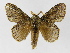  ( - INB0004191549)  @14 [ ] Copyright (2012) J. Montero Instituto Nacional de Biodiversidad