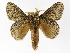  ( - INB0004191622)  @14 [ ] Copyright (2012) J. Montero Instituto Nacional de Biodiversidad