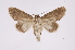  ( - INB0004191630)  @13 [ ] Copyright (2012) I. Chacon Instituto Nacional de Biodiversidad