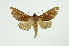  ( - INB0004191667)  @12 [ ] Copyright (2012) Juan Mata Lorenzen INBio