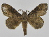  ( - INB0004191694)  @13 [ ] Copyright (2012) J. Montero Instituto Nacional de Biodiversidad