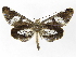  ( - INB0004192804)  @14 [ ] Copyright (2012) J. Montero Instituto Nacional de Biodiversidad