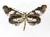  ( - INB0004192804)  @13 [ ] Copyright (2012) J. Montero Instituto Nacional de Biodiversidad